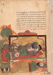 The Ascetic Witnesses the Woman Trying to Poison the Lover, Folio from a Kalila..., 1700-tal. av Unbekannt