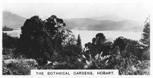 Botaniska trädgården, Hobart, Tasmanien, 1928 av Unbekannt