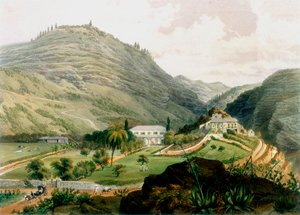 The Briars, St Helena, tidigt 1800-tal 1851 av Unbekannt