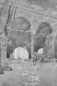The Courtyard of the Pigeons Mosque, 1913 av Unbekannt