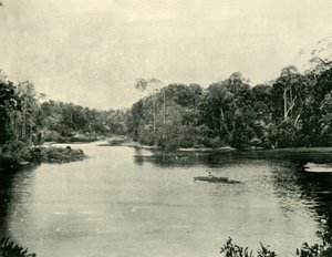 Ennoggera-reservoaren, 1901. av Unbekannt