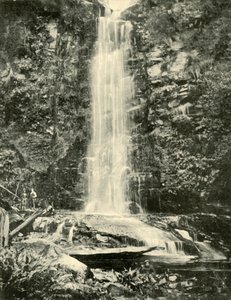 Erskine Falls, nära Lorne, 1901. av Unbekannt