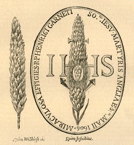 Ansiktet i halmen. - Från Abbots Anthologia, 1613, 1897. av Unbekannt