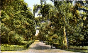 The Flower Walk, Kensington Gardens, London, 1900-talet av Unbekannt