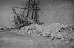 Fram efter ett istryck. 10 januari 1895, 1895 1897 av Unbekannt