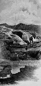 The Hot Springs nära Gardiners River, 1883 av Unbekannt
