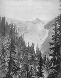 Illecillewaet-glaciären, 1800-talet av Unbekannt