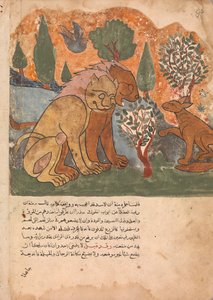 Lejonkungen, med sin mor, tar emot Dimna, Folio från en Kalila wa Dimna, 1700-tal. av Unbekannt