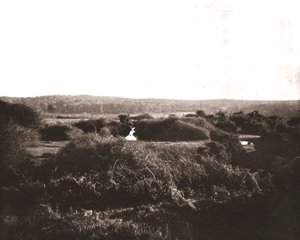 The New Forest, Hampshire, 1894. av Unbekannt