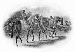 The Next Race, 1800-talet, 1911 av Unbekannt