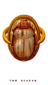 The Scarab, 1923 av Unbekannt
