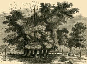 De sju systrarna, 1830, c1876. av Unbekannt