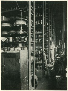 The Shelves of Edisons Laboratory with Samples of Every Known Substance, 1902. av Unbekannt