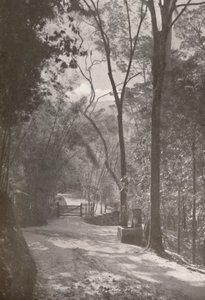 The Spirit of Tijuca, 1914 av Unbekannt