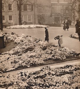 The State Funeral of King George V at Windsor: minneskransar, 1936 av Unbekannt