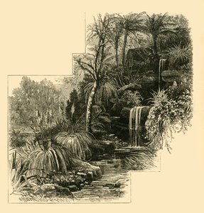 The Tropical Gardens, Battersea Park, c1878. av Unbekannt