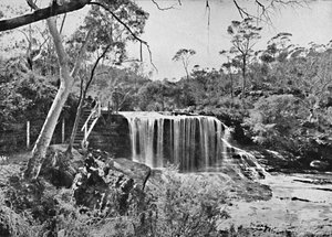 The Weeping Rock vid Wentworth Falls, Blue Mountains, c1900. av Unbekannt