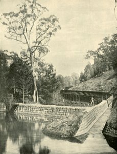 The Weir and Fluming, Kirks Reservoir, 1901. av Unbekannt