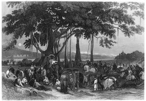Ankomsten av kontingentstyrkan av sikhernas irreguljära kavalleri, Indien, c1860 av Unbekannt