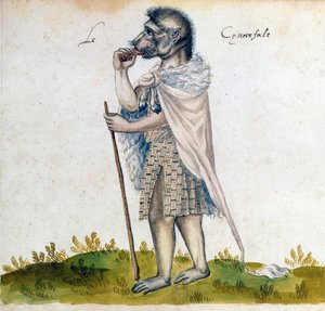 Cynocephalus, 1400-talet av Unbekannt