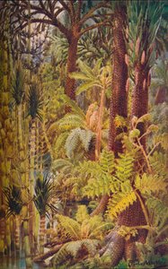 Kolålderns gigantiska vegetation, 1907. av Unbekannt