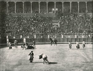 Interiören av tjurfäktningsarenan, Madrid, Spanien, 1895. av Unbekannt