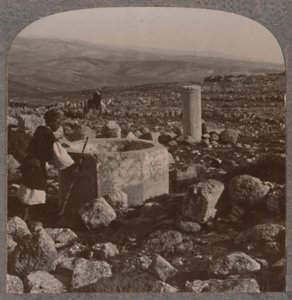 Ruinerna av Tekoa, c1900 av Unbekannt