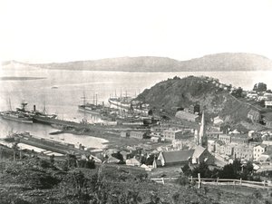 Staden och hamnen, Port Chalmers, Nya Zeeland, 1895. av Unbekannt