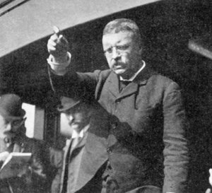 Theodore Roosevelt talar till ett möte i delstaten New York, 1901 av Unbekannt