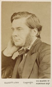 Thomas Henry Huxley, brittisk biolog, c1865-1886 av Unbekannt