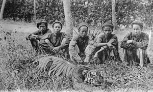 Tigerjägare, Tonkin, Vietnam, 1900-talet av Unbekannt