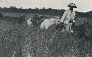 Resa på Pampas, 1916 av Unbekannt