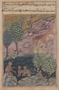 Tuti-Nama Tales of a Papegoja: Saga XXIX, Lejonet återvänder till sitt territorium och se, ca. 1560. av Unbekannt