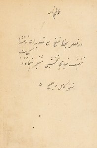 Tuti-Nama Tales of a Papegoja, ca. 1560. av Unbekannt