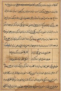 Tuti-Nama Tales of a Papegoja, ca. 1560. av Unbekannt