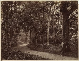 Utan titel Landskap, tidigt 1860-tal. av Unbekannt