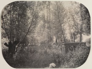 Untitled Landscape with Dog, c. 1910. av Unbekannt