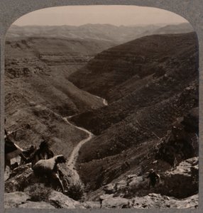 Arnodalen, herde och får i förgrunden, c1900 av Unbekannt