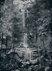 Valley of the Waters, Blue Mountains, c1900. av Unbekannt