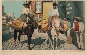 Grönsaksmän, Havanna, Kuba, 1904 av Unbekannt