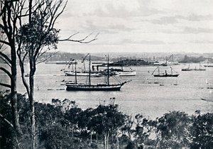 Utsikt över Sydneys hamn från North Shore, nr 1, c1900. av Unbekannt