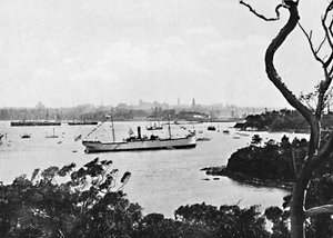 Utsikt över Sydneys hamn från North Shore, nr 2, c1900. av Unbekannt