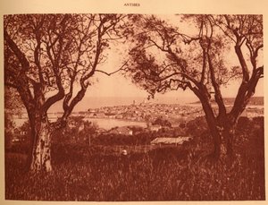 Utsikt genom olivträden till Antibes, 1930. av Unbekannt