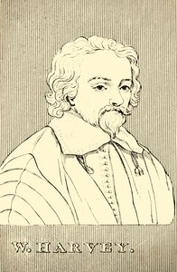 W. Harvey, 1578-1657, 1830. av Unbekannt