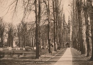 Winchester Cathedral and Avenue, Hampshire, tidigt 1900-tal. av Unbekannt