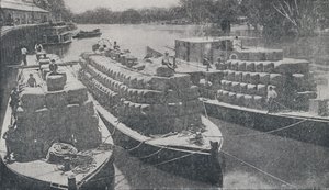 Ullpråmar på Murray River, 1923. av Unbekannt