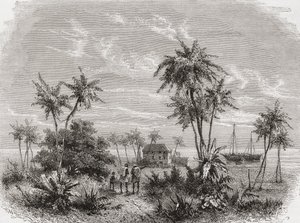 David Livingstones hus i Zanzibar, Tunisien, Östafrika, illustration från "The World in the Hands", graverad av Henri Theophile Hildibrand (1824-97), publicerad 1878. av Unbekannt Unbekannt