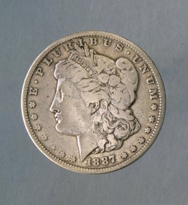 1 dollar mynt av William M. Timlin