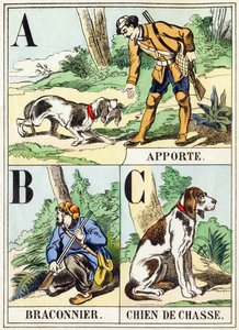 A B C: Bring, Poacher, Hunting Dog - The Hunting Alphabet, c.1890 (gravyr) av Unbekannt