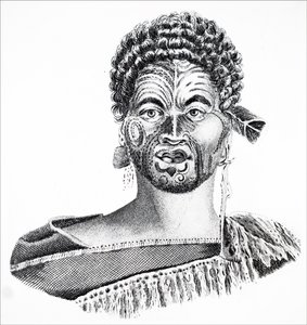 A Maori Wisdom f Andra sjukhus av Unbekannt